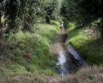 De Oude Kanjel blijft op deze plek stromen en zal straks meer bezoekers krijgen dan de enkeling die nu nog langs het beekje loopt.  (2-9-2013 - Jan Dolmans)