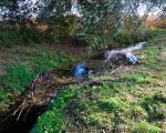 Een eerdere dam die al gedeeltelijk was afgebroken om de doorstroming van het water in de beek te bevorderen.  (28-10-2013 - Jan Dolmans)