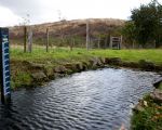 Een vertrouwd gezicht in ons dorp, normaal lezen we hier de waterstand af bij een verhoogde waterstand van de Maas. Nu waren de bevers er debet aan. (28-10-2013 - Jan Dolmans)