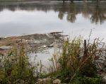 Het bekende patroon als de waterstand in de Maas stijgt. Overal langs de oever wordt troep door het wassende water meegenomen. Als de Maas bij een nog hogere waterstand dan buiten haar oevers treedt wordt al deze troep in de uiterwaarden gedropt. Eigenaren van de gronden langs de Maas mogen het dan opruimen.  (8-11-2013 - Jan Dolmans)