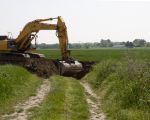 Achter de graafmachine staat de wintertarwe al bijna een halve meter hoog. Ik denk niet, gezien het tempo waarmee de grond wordt weggegraven, dat deze  tarwe nog kan worden geoogst.  (5-5-2014 - Jan Dolmans)