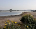 Nu de oever van het grintgat is weggegraven kun je helemaal tot aan Herbricht doorkijken. Het grintgat zal, nadat de laatste vissen zijn gevangen, worden opgevuld met dekgrond waarna er een drassige poel zal overblijven.  (1-10-2014 - Jan Dolmans)