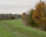 Een rondje kades laat in de herfst de pracht zien van de verschillende bomen die aan het verkleuren zijn.  (17-11-2014 - Jan Dolmans)