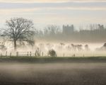 Wat is de herfst toch soms mooi. (24-11-2014 - Jan Dolmans)