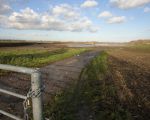 Vanaf de kade Op de Meer zicht op de ontgrinding van Itteren-noord. (10-12-2014 - Jan Dolmans)