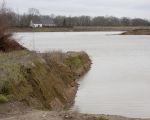 Links de oude maasdijk die nog wordt afgegraven. De maas stroomt hier al naar het grintgat via een opening in de maasdijk.  (12-1-2015 - Jan Dolmans)