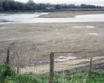 De waterstand van de Maas was vanmiddag 39.25 boven NAP. Zoals op de foto is te zien stroomt het Maaswater bij die stand al via de verlaagde doorlaat naar het lager gelegen deel van de Itterse Weerd.   (20-11-2015 - Jan Dolmans)