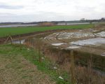 Stroomgeulverbreding Itteren Noord gezien vanaf het uitkijkpunt. Op de voorgrond de nieuwe loop van de Geul. De berg grind (wintervoorraad) is al grotendeels weggegraven. Links boven nog een restant van het oude grindgat. (24-12-2015 - Han Hamakers)