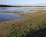 Situatie Itteren-Noord bij een waterstand van de maas van 39.50m boven NAP.  (17-1-2016 - Jan Dolmans)