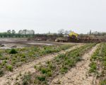 De afvoer van de dekgrond begint na 6 maanden hard werken dan toch zijn eind te naderen. Nog een kwestie van enkele weken.  (2-5-2016 - Jan Dolmans)